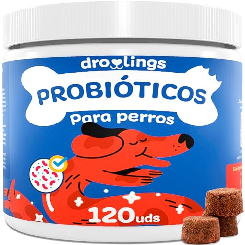 Droolings Probioticos Perros 120 Uds - (2 Billones CFU + 8 Cepas) - 100% Natural con Prebioticos Post y Enzimas para Diarrea y Flora Intestinal