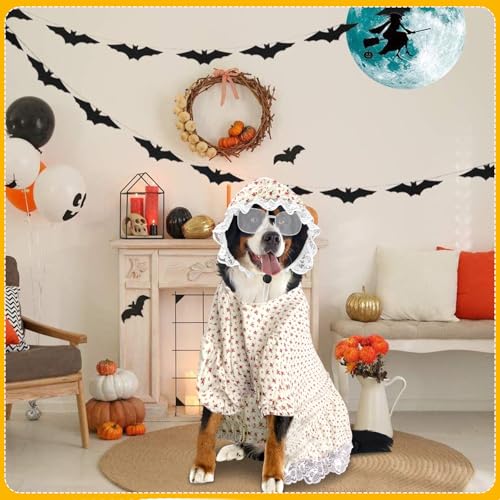 3-teiliges Kostüm für alte Dame für Hunde, Oma, Hundekostüme und Hut, lustige Retro-Sonnenbrille für Halloween, Hundeparty, Cosplay (5 XL)