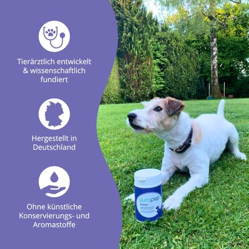 purapep Senior Power – 5-Fach Nährstoffkomplex mit Molkenprotein, Omega-3, Taurin & Vitaminen für Hunde & Katzen Senioren – Muskelaufbau & Fitness-Booster im Alter – Pulver | 280g