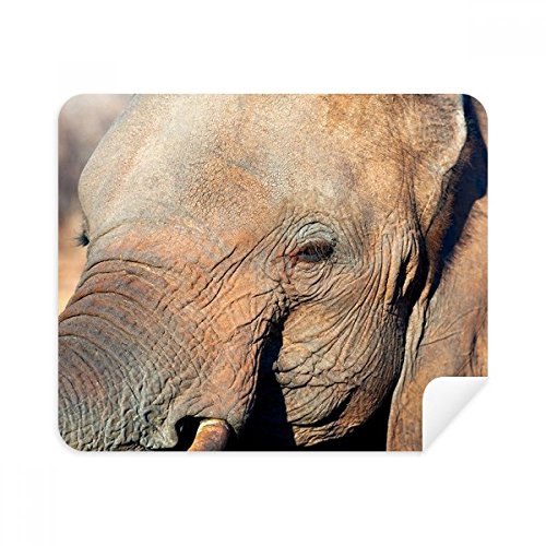 Chiffon de nettoyage pour écran sans trace motif éléphant 2pcs