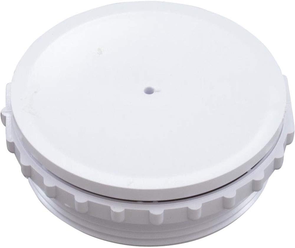 Pentair 506162 Equalizer Valve Assembly Replacement Bermuda Pool and Spa Skimmer