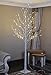 Lightshare LED Birch Tree, 8-Feet