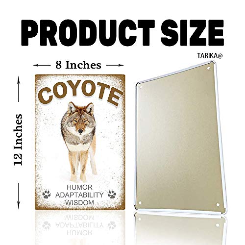 Coyote Humor Adaptability Wisdom Iron Poster Painting Tin Sign Vintage Wall Decor For Cafe Bar Pub Home Beer Decoration Crafts #TOP1