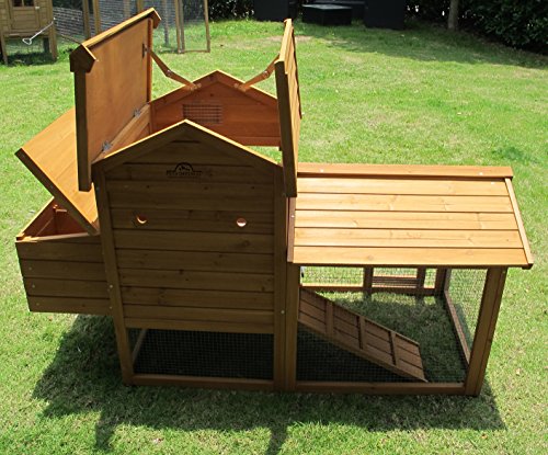 Pets Imperial® Clarence Kleiner Hühnerstall - Schiebetablett & integrierter Hühnerauslauf - Hühnerhaus mit 2 Nistplätzen – Bild 6