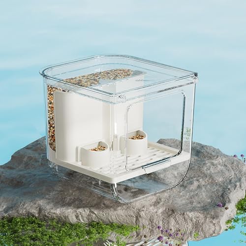 Mangeoire cage oiseau intérieur pour perruche et calopsitte