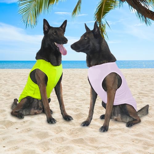 Kickred 2 Pack Hund Kühlung Shirts, EIS Haustier Weste Hund Kleidung für Instant Kühlung, ultraleichte atmungsaktive ärmellose T-Shirts für mittlere Hunde Junge Mädchen (Violett+Grün, XL)