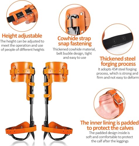 Crampons d'escalade d'arbre pour cueillette et élagage sécurisé