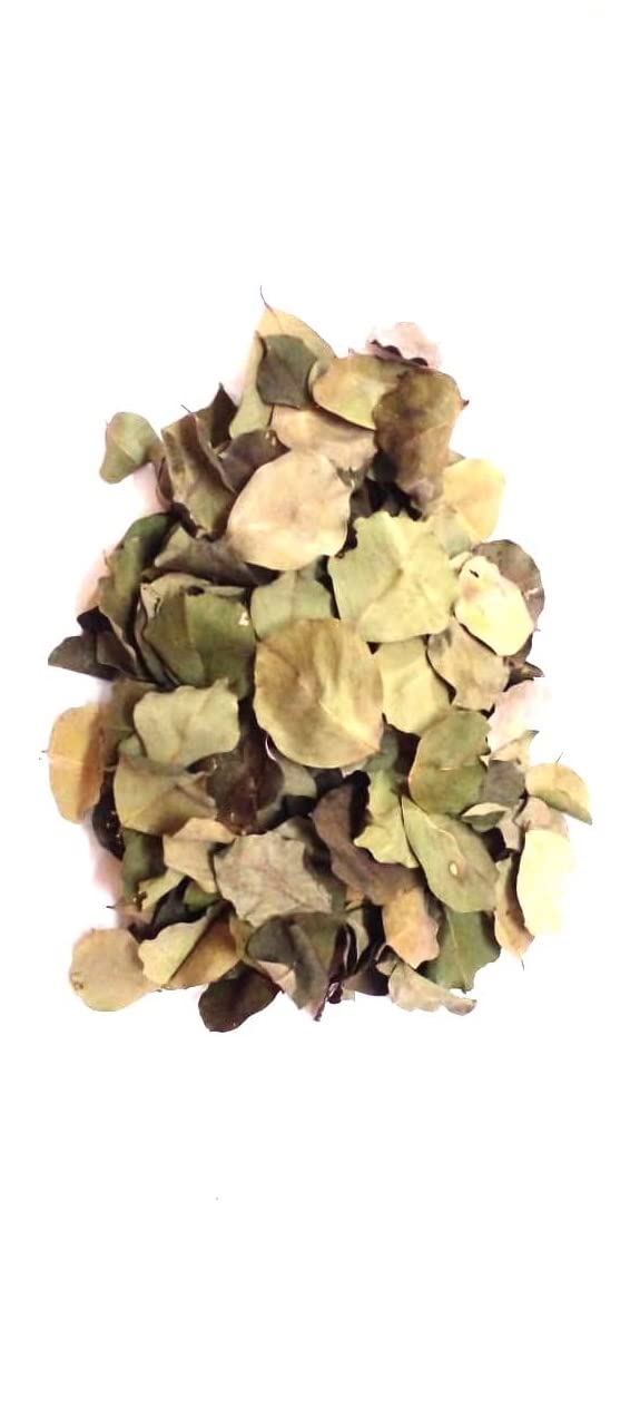 Li6 ®™ Shisham Ki Shukhi Patti (100gram) Sheesham Dry Leaves - Sisam (Sissoo) Ka Natural Patte - Rosewood Of Leaf (B0BFWH8NYV) Amazon Price History, Amazon Price Tracker
