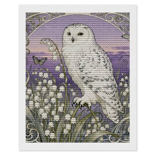 Kit peinture diamant 5D hibou enneigé maccbn pour adulte débutant