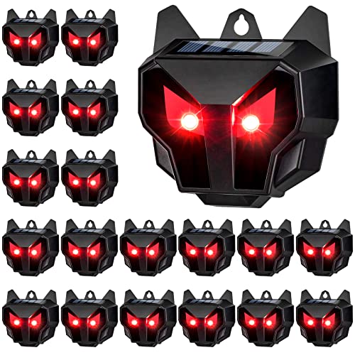 Top 10 Best coyote deterrents Reviews & Buying Guide Maine Innkeepers