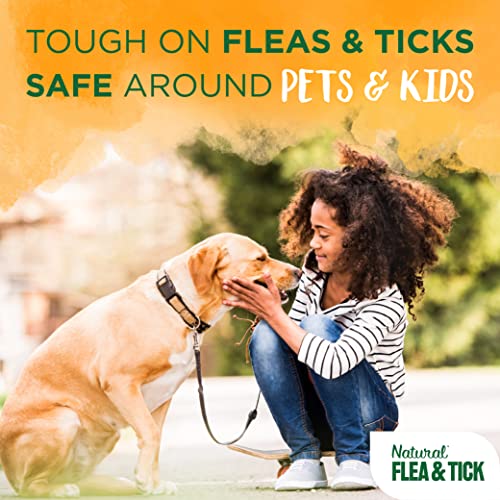 Tropiclean FTPTSP16Z Natural Flea And Tick Spray For Dogs & Bedding thumb #3