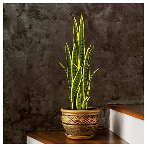 Image of Kayra Decor 3 Feet Snake Plant - Big Artificial Plant with Pot for Living Room Corner Decor