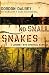 No Small Snakes: A Journey Into Spiritual Warfare