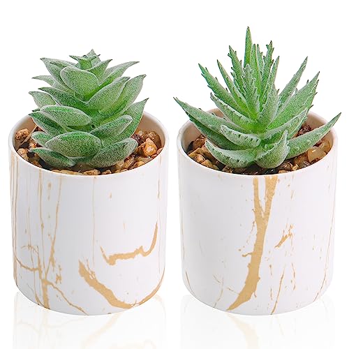 Der Rose Lot de 2 mini plantes succulentes artificielles pour la maison, le bureau, les accessoires...