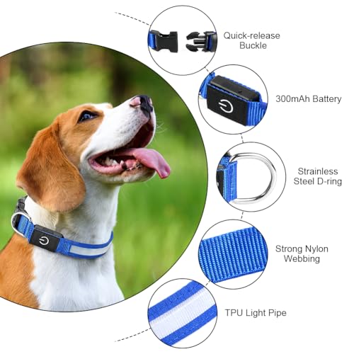 AUAUY Light Up Dog Collar, Type-C Port Charging LED Dog Collar Light - Image 3