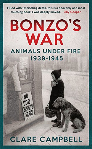 Bonzo'S War view 2