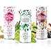 CLEVER - Nonalcoholic Mocktails Mix Pack, 3 Mocktails Non-alcoholic Drinks: Mojito, Sangria & Pink G & Tonic, Low-Calorie All-Occasion Refreshing Beverages, Pack of 12 (4 Cans per Variant, 12 oz Ea)