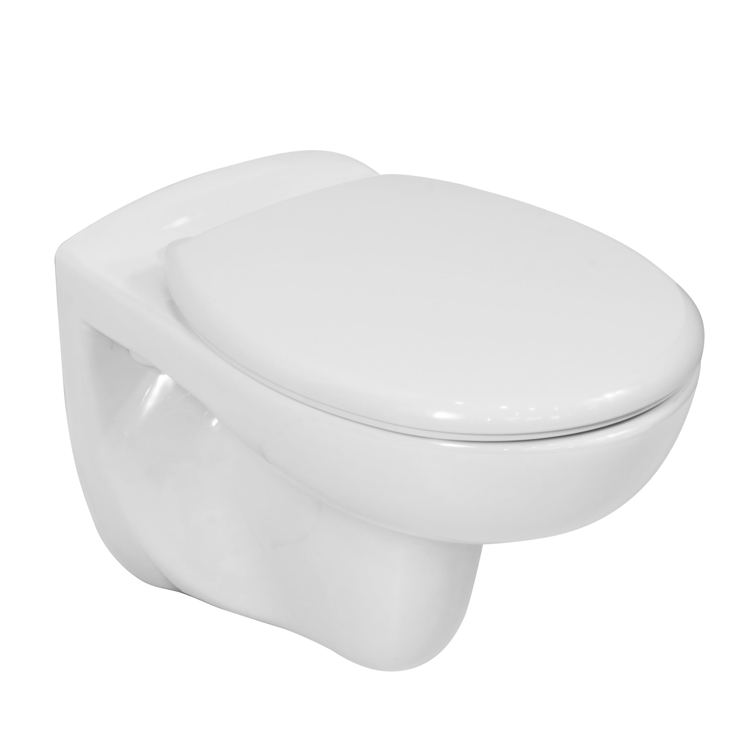 LAVITA WC da parete Arctic con abbassamento automatico e cerniere in metallo, senza bordi per WC, da appendere, 350 x 535 x 535 x 535 mm, bianco lucido