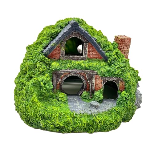 Ϗ܋nEX  - ֗Ȑق̑ tBbVnEX ঒ނ̓A - X|W{u I[ig ̑ ̑pnEX 