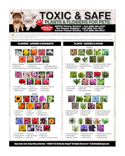 Lista magnética plantas tóxicas para mascotas 8.5x11 pulg
