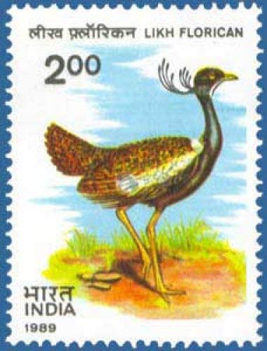 India 1989 Likh Florican Bird Wildlife Conservation Fauna Stamp MNH Stampbazar