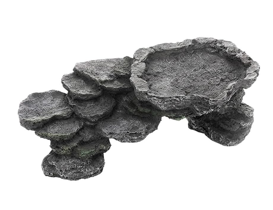 Roches réalistes pour aquarium pour aménager un coin cachette sans perdre d'espace