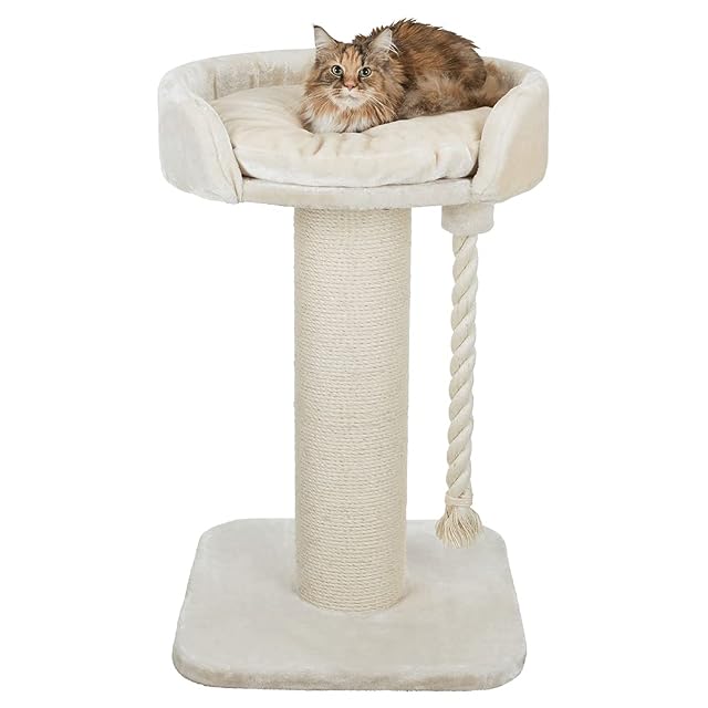 TRIXIE Klara Rascador XXL, 10 cm, Crema, 21,01 kg