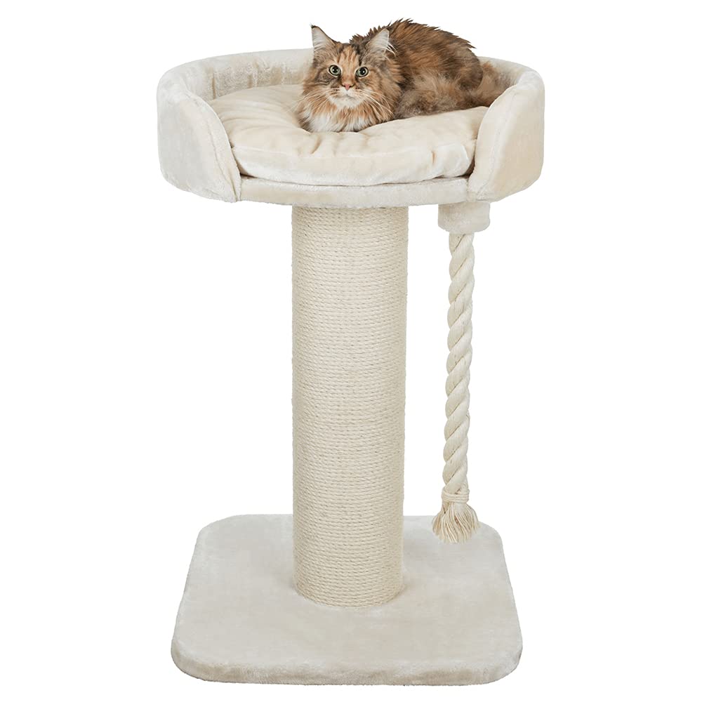TRIXIE Kratzbaum XXL Klara 100 cm in creme  robuster Katzenbaum fr groe  Katzen mit einer gemtlichen, erhhten Liegeflche, komfortabel & stabil   44677 : Amazon.de: Haustier