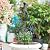 GOOOXIM 26” Metal Garden Obelisk Trellis for Climbing Plants - Sturdy & Stylish Support for Roses, Bougainvillea, and Potted Plants - Ideal Decorative Accent for Vertical Gardening Indoors & Outdoors
