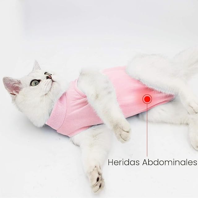 Foto 2 de 7 de Dotoner Traje de recuperación Profesional para heridas Abdominales o Enfermedades de la Piel