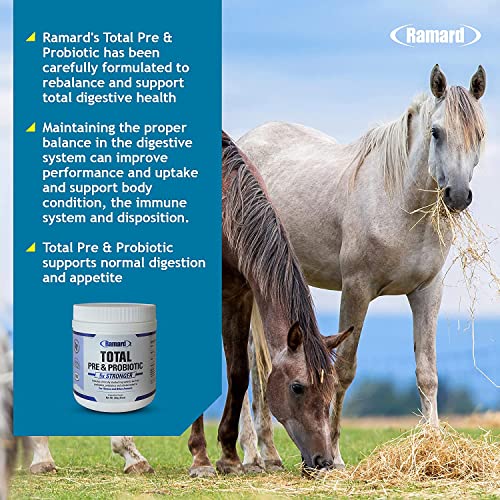 Ramard Total Prebiotic And Probiotic Equine Formula & Total Calm And Focus Prime — Advanced Digestive Health Supplement For Foals And Adult Horses — Aids In Reducing Nervousness & Hyper-Activeness #TOP2