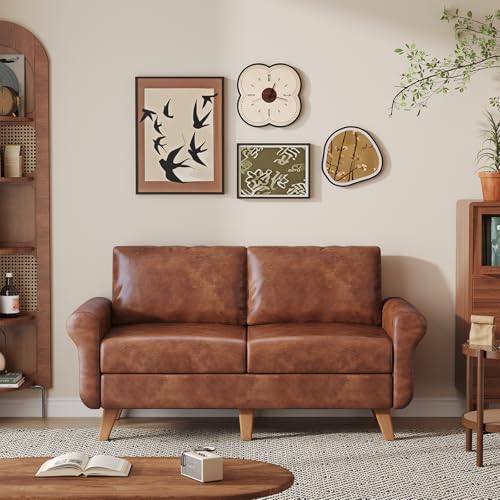 Skokliz Sofa 2 Sitzer (167cm L), Modernes Bürosofa mit Dicken Polstermöbel, 2 Kissen, Bequemes Ledersofa für Wohnzimmer/Schlafzimmer/Büro, Leicht zusammenzubauendes Couch Klein 2 Sitzer