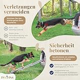 Hunderampe Auto Klappbar- Teleskop Alu Rampe für große Hunde - Stabile Hundetreppe Auto & SUV - rutschfest - Reflektierende Seiten - Hundeleiter Auto - 90kg Belastbarkeit - Befestigungsclip - Blau