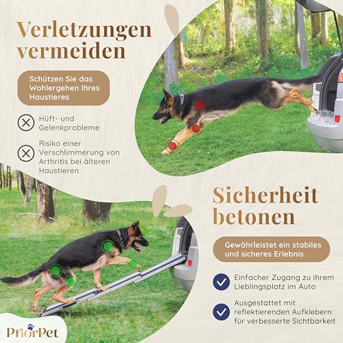 Hunderampe Auto Klappbar- Teleskop Alu Rampe für große Hunde - Stabile Hundetreppe Auto & SUV - rutschfest - Reflektierende Seiten - Hundeleiter Auto - 90kg Belastbarkeit - Befestigungsclip - Blau