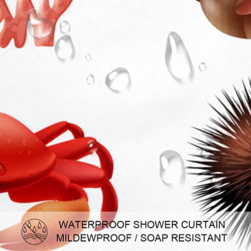 Rideau de douche seashell conque 152x183 cm pour baignoire avec 12 crochets - 4