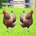 Yardwe 2 Stück Huhn Deko Hühner Gartendeko Hühner Deko Lebensechte für Draußen Draußen Rasen Hofdekoration