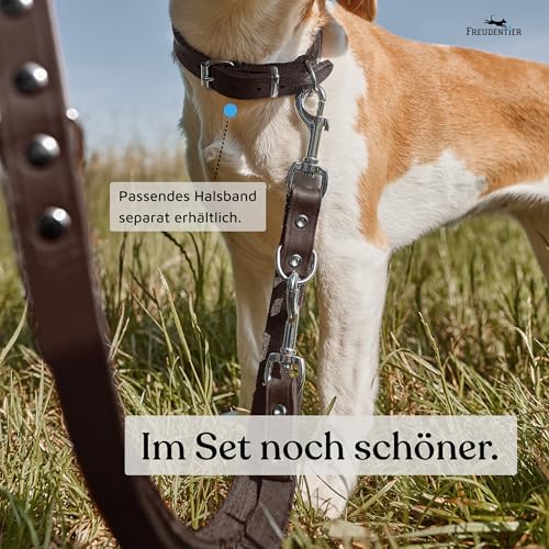 FREUDENTIER Hundeleine Leder 2m - Lederleine verstellbar - Führleine aus Fettleder für kleine, mittelgroße & große Hunde - Alsterufer Kollektion (Chocolate, 12mm breit)