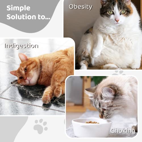 Slow Feeder Cat Bowls Insert: Slows Down Pets Eating, Prevents Overeating - Slow Feeder Silicone Insert - Sprial Food Bowl Insert With Strong Suction Cup For Cat Basic Dish #TOP2