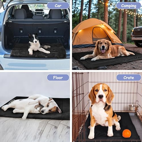 Pawsse Wasserdicht Hundedecke für Unterwegs 80 x 60cm, Outdoor Hundematte Waschbar Hundekissen zum Mitnehmen, Faltbare Hundebett für Reise Auto Camping, Schwarz