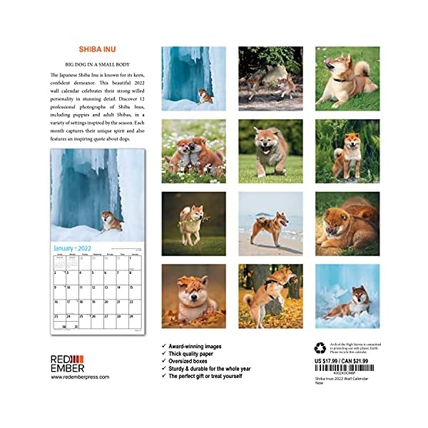 RED EMBER Shiba Inus Wandkalender 2022, zum Aufhängen, 30,5 x 61 cm, geöffnetes dickes und stabiles Papier, Geschenk… – Bild 4