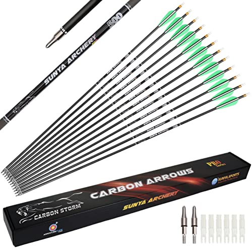 SUNYA Archery Compound Bow Arrows 12pcs Set. 30