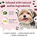 Black Cherry Dog Shampoo by Buddycare | Dry Skin & Itchy Skin Relief for Smelly Dogs | Deep Cleansing for Dogs Puppy Sensitive Skin | Dog Shampoo & Conditioner | with Aloe & Vitamin B5 (16.90oz)
