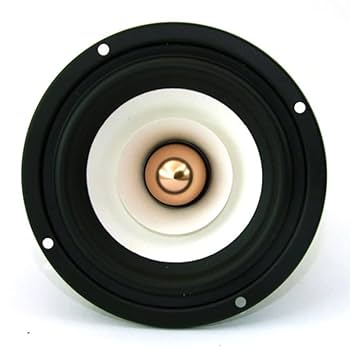 FOSTEX P1000E +WP-FL10スピーカー FOSTEX P1000E +WP-FL10スピーカー - メルカリ