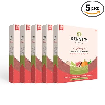Benny's Bowl Delicious Fresh Dog Food, Lamb and French Beans Recipe, Wet Dog Food for Adult and Puppy 300g (Pack of 5)