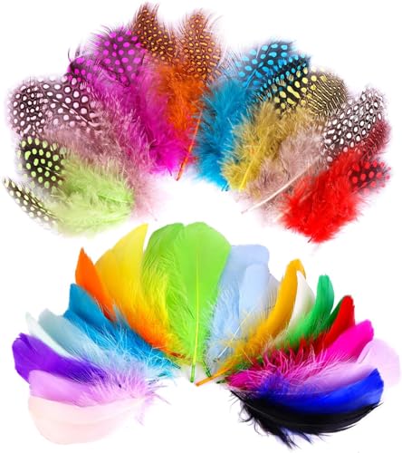Federn Zum Basteln, 300 Stück Natürliche Bunte Federn Indianer Feder für...