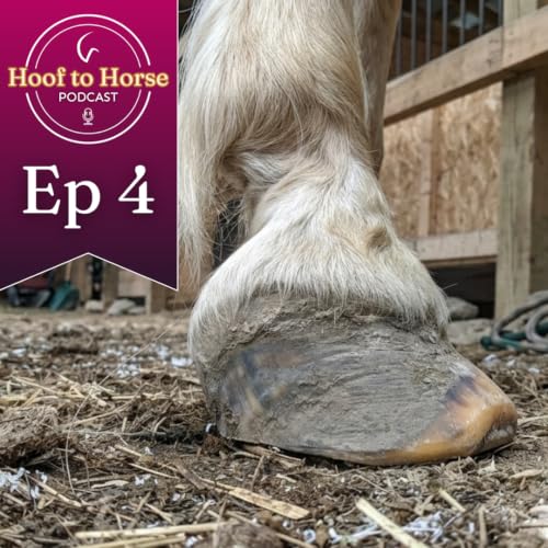 Laminitis Hot Takes (Part 2)
