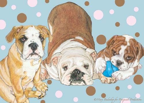 Bulldog Blank Note Cards Boxed