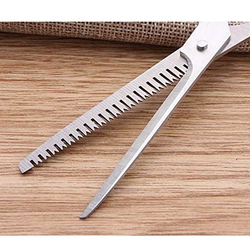 Beaupretty 3 peças Ferramentas de corte de cabelo Tesoura de corte de cabelo Tesoura de aço inoxidáv