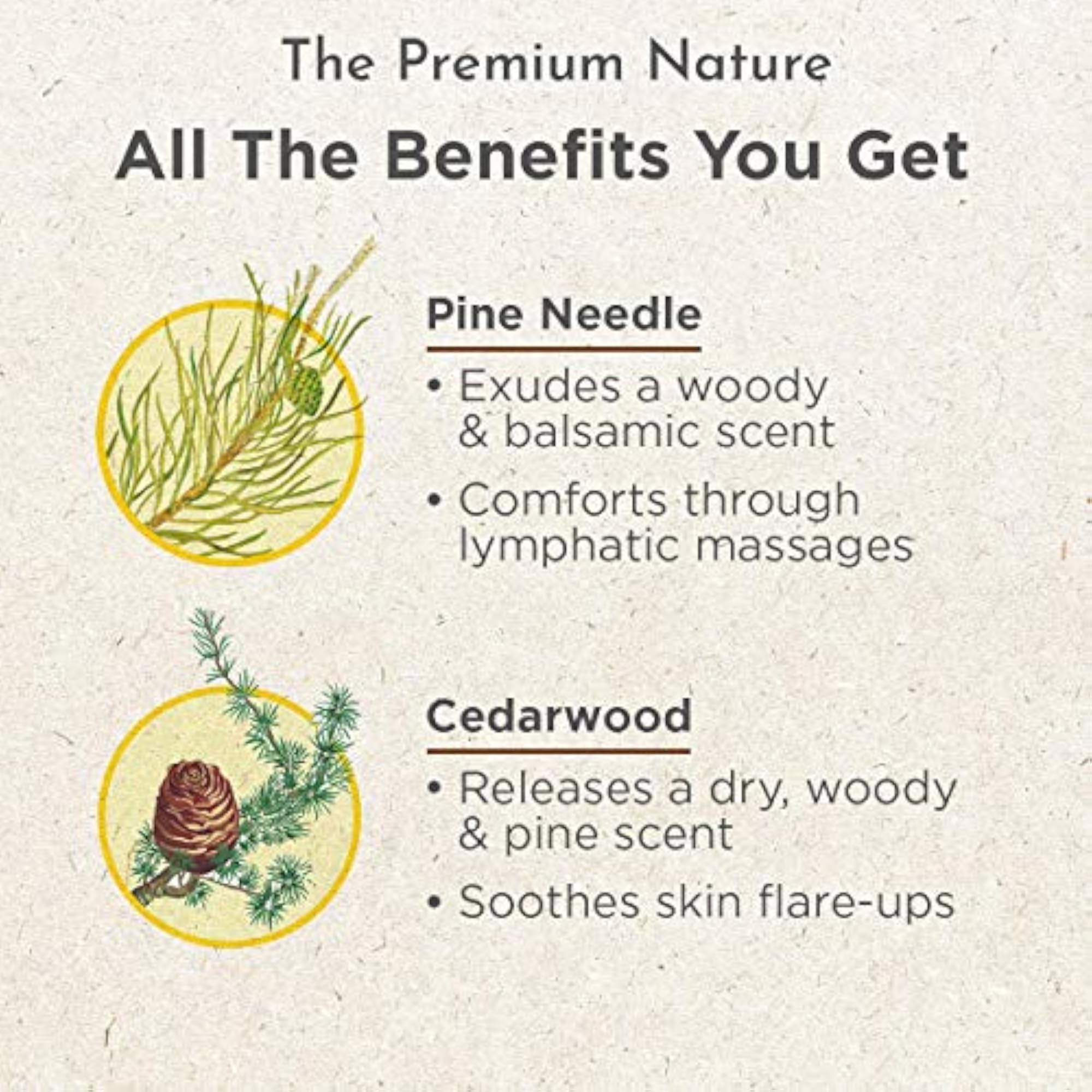 The Nature Pine & Cedarwood Essential Massage Set