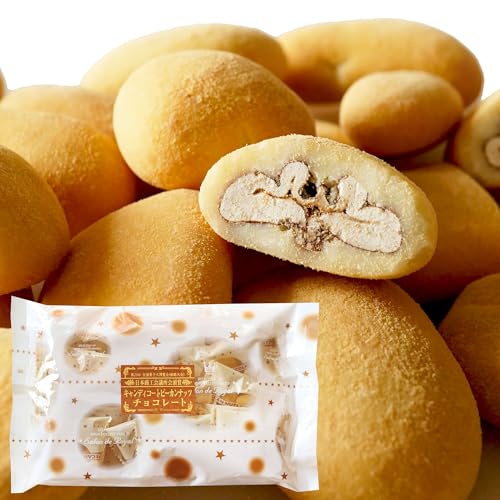 サロンドロワイヤル ピーカンナッツチョコレート 360g